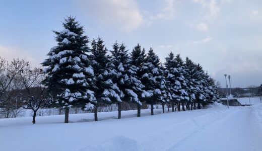 赤い除雪機・青い除雪機、どちらを選ぶ？